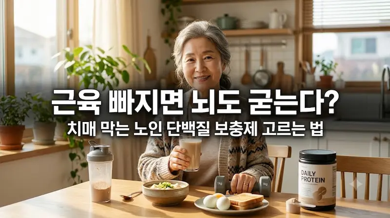 근육 빠지면 뇌도 굳는다 치매 막는 노인 단백질 보충제 고르는 법 텍스트