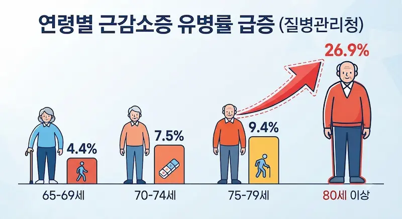 60대부터 80세 이상까지 연령대가 높아질수록 급격히 증가하는 근감소증 유병률을 보여주는 인포그래픽 차트.