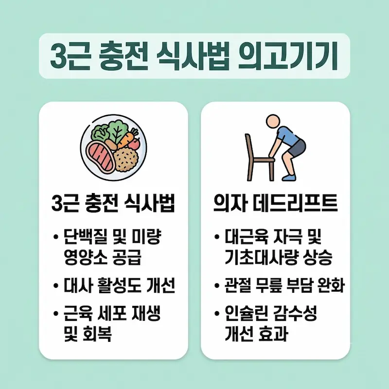 연한 파스텔 민트 배경에 제목 배너와 2개의 둥근 흰색 정보 상자가 있다. 왼쪽 상단에는 제목 배너로 '3근 충전 식사법 의고기기'라고 적혀있고, 아래에는 균형 잡힌 식단 아이콘과 '단백질 및 미량 영양소 공급', '대사 활성도 개선', '근육 세포 재생 및 회복'이라는 글씨가 있다. 오른쪽에는 의자를 이용해 데드리프트를 하는 사람 아이콘과 '대근육 자극 및 기초대사량 상승', '관절 무릎 부담 완화', '인슐린 감수성 개선 효과'라는 글씨가 있는 인포그래픽
