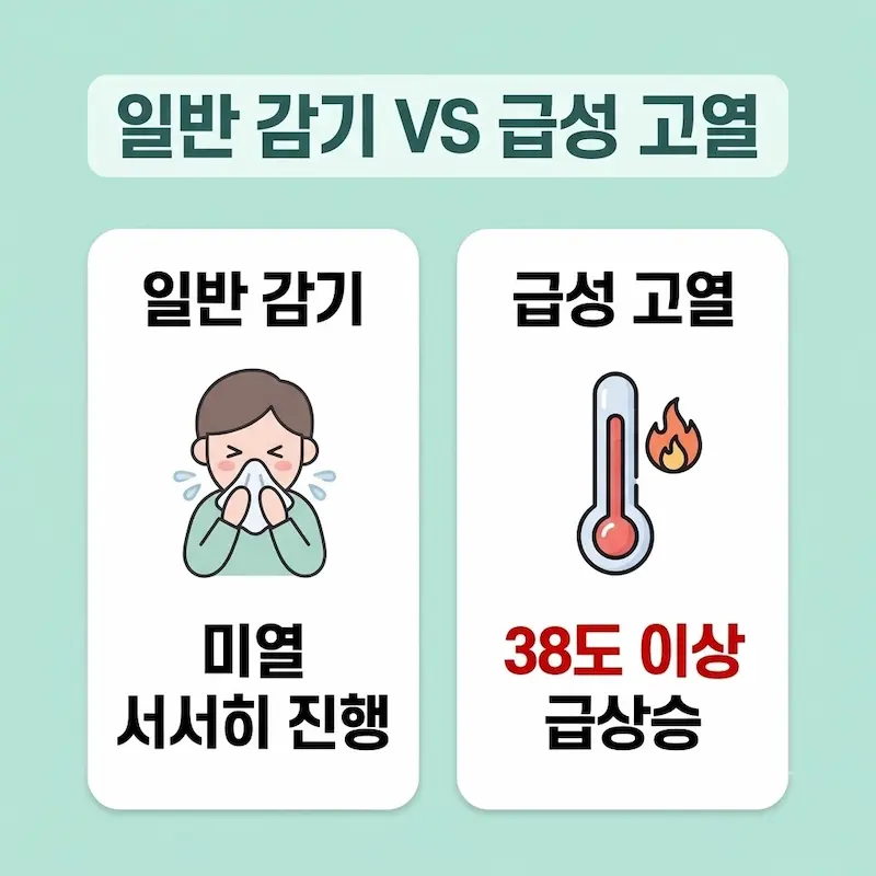 일반 감기의 미열 진행과 급성 고열의 38도 이상 급상승을 비교한 표 형식 인포그래픽