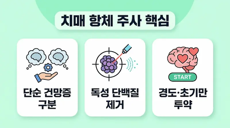 치매 항체 주사 핵심 요약 (건망증 차이, 아밀로이드 제거, 초기 투약) 인포그래픽