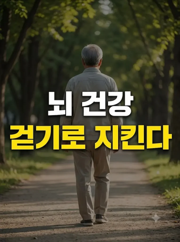 아침 햇살이 비치는 공원 산책로를 걸으며 뇌 건강과 활력을 다지는 어르신의 평화로운 뒷모습